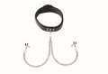Black Leather Collar with Broad Tip Clamps