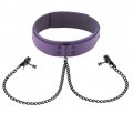 Purple Leather Collar with Broad Tip Clamps
