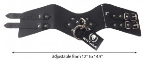 Posture Leather Collar-dimensions