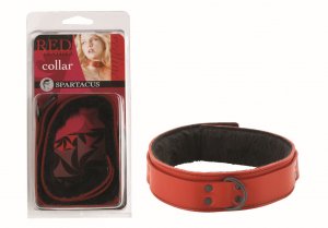 Red Leather Collar with Fur Lining