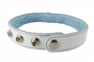 White Leather Collar with Blue Gems and Lining